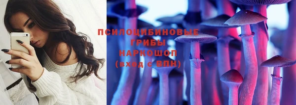 шишки Богородск