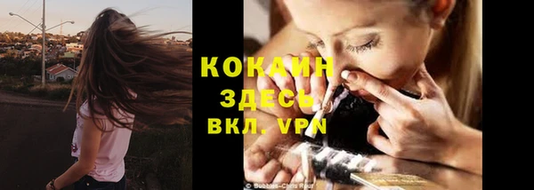шишки Богородск