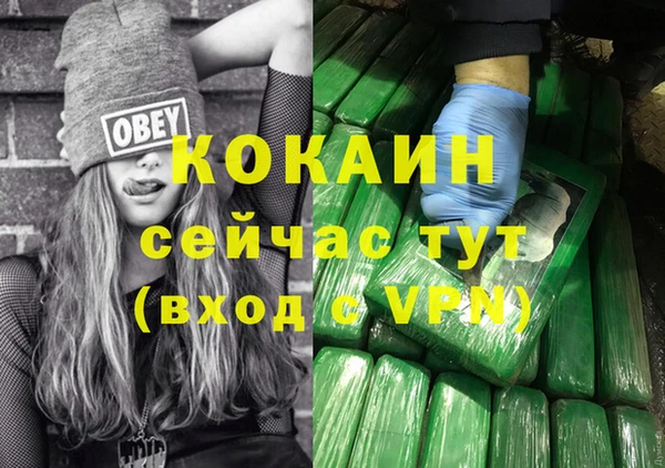 шишки Богородск
