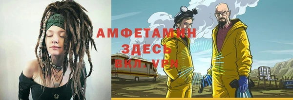 сатива Богданович