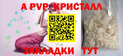 прущие грибы Волгодонск