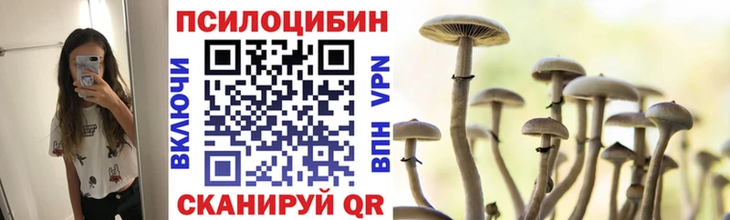 что такое наркотик  Сланцы  Псилоцибиновые грибы мицелий 